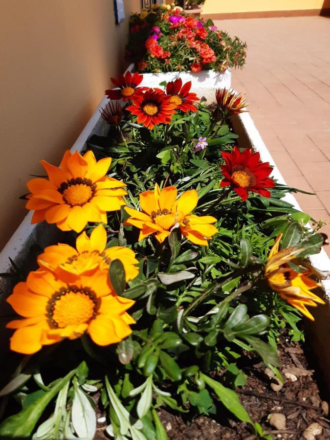 Ferienwohnung La Terrazza Sul Mare Montesilvano Marina Exterior foto